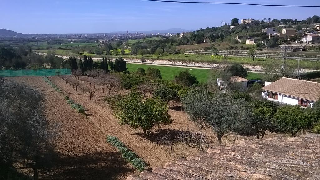 Hébergement de vacances La Casita Manacor (Mallorca)