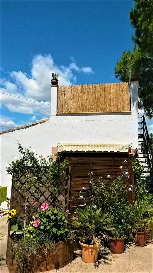 Dom wakacyjny La Casita